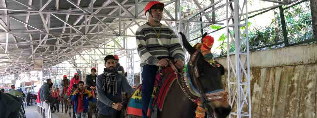 HORSE RIDE