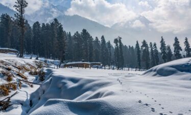 Kashmir honeymoon tour package