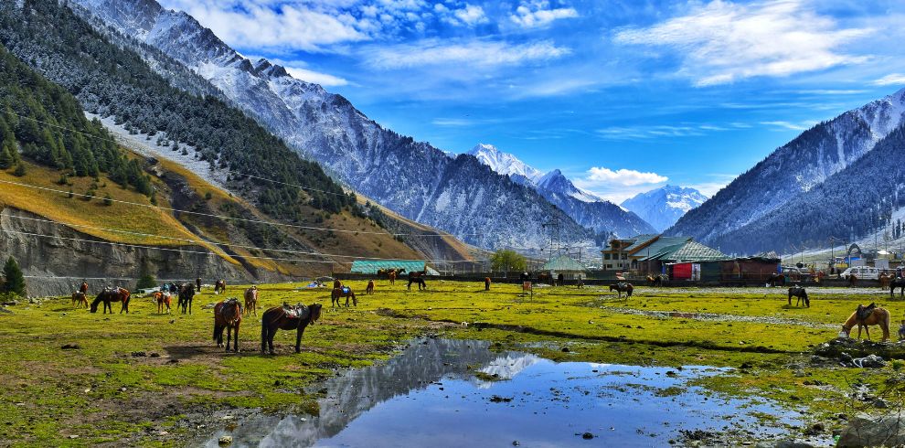 Kashmir Tour Package