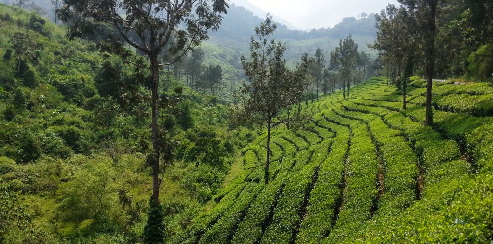Coimbatore Tour Package