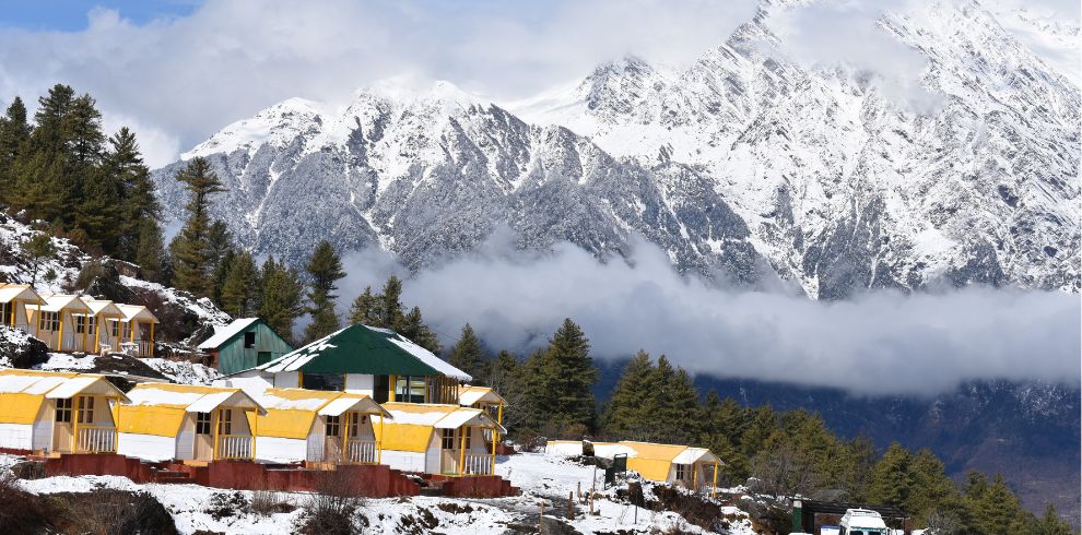 Auli Tour Package