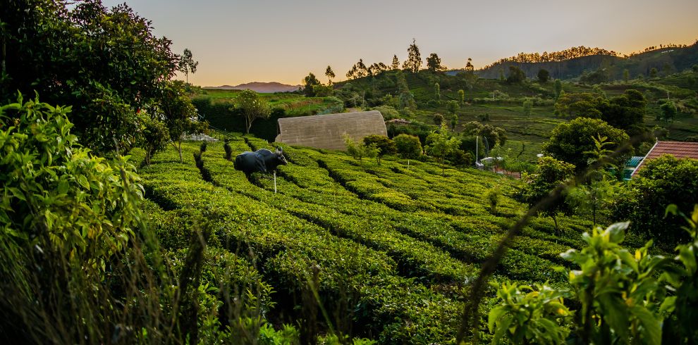 Coimbatore Tour Package @11,999 Book Now 1 Coimbatore Tour Package