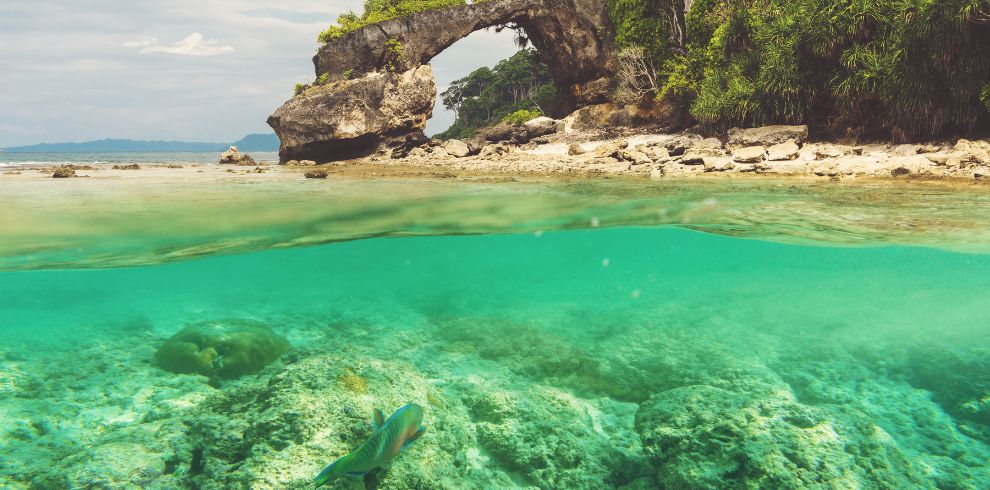 Andaman tour package