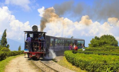 Darjeeling Tour Package 1