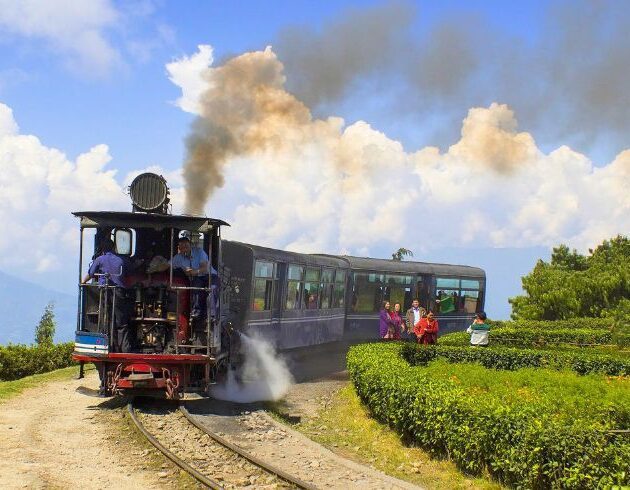 Darjeeling Tour Package 1
