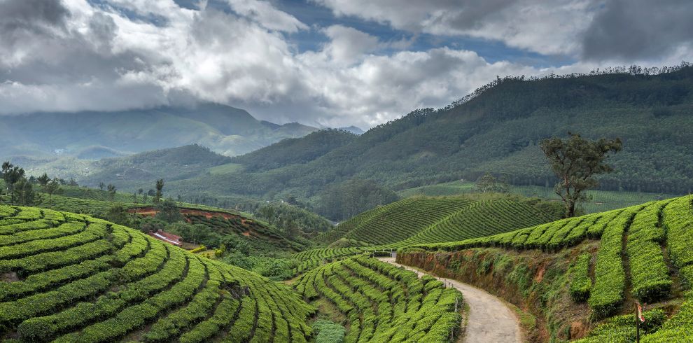 Darjeeling Tour Package from delhi