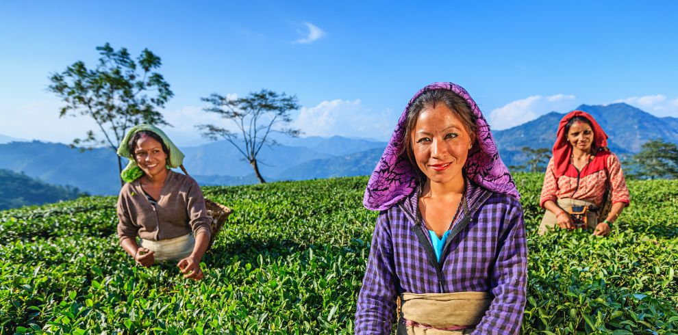 Darjeeling Tour Package