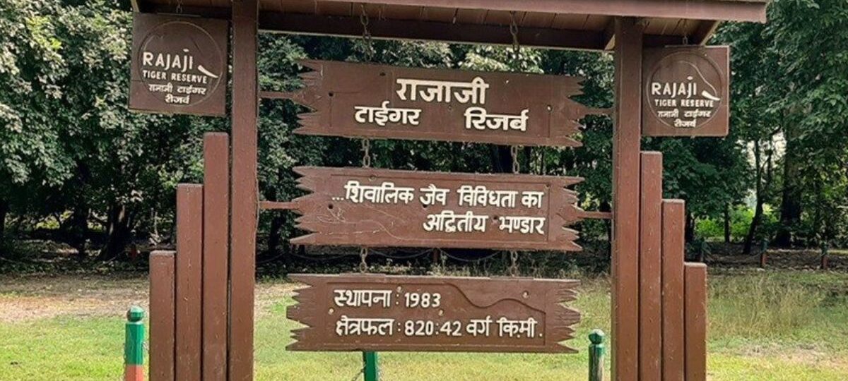 Rajaji National Park Haridwar