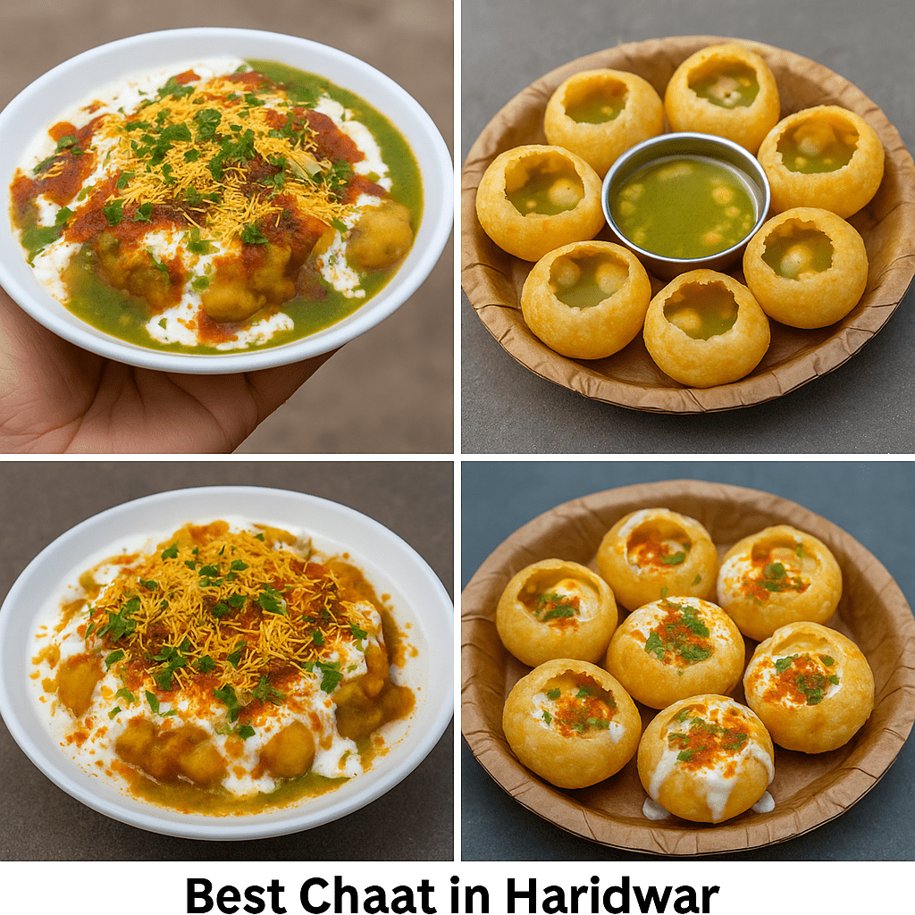 Best Chaat in Haridwar 1